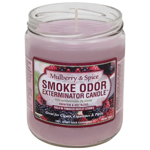 Smoke Odor 13oz Candle - Mulberry Spice