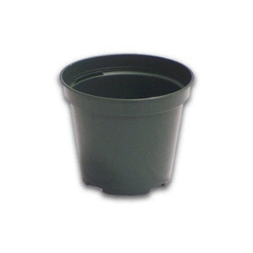 4" Standard Green Plastic Pot Regal