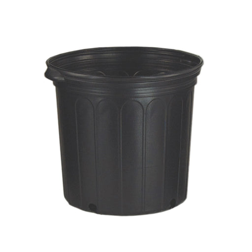 Pot 2000 (11''H x 12''D) 5Gal