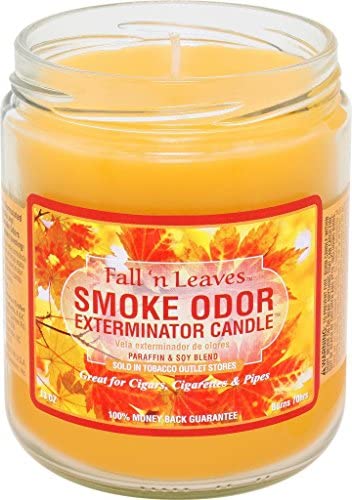 Smoke Odor - 13oz Candle - Fall N Leaves