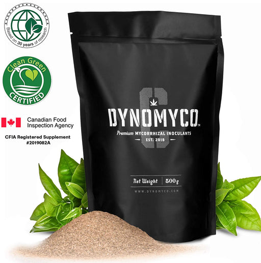 Dynomyco Premium C Mycorrhizal Inoculant Mini-Pouch 75g
