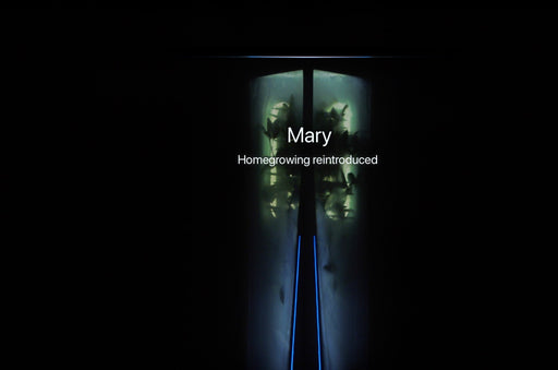 Mary Self Automated Grow Box