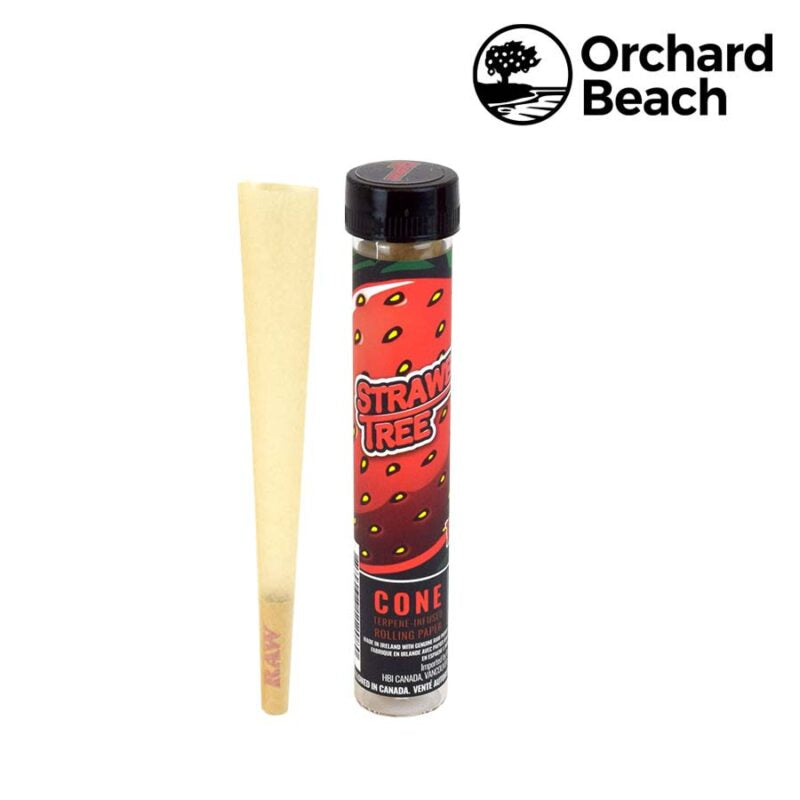 Orchard Beach Terpene Infused Raw Cones